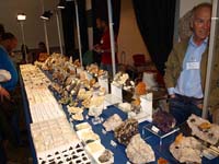 FEM. XIX Feria de Minerales y Fósiles. La Unión