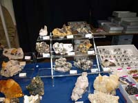 FEM. XIX Feria de Minerales y Fósiles. La Unión