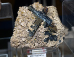 FEM. III Feria de Minerales, Fósiles y Gemas de Oliva