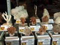 FEM. XX Feria de Minerales y Fósiles. La Unión