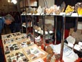 FEM. XX Feria de Minerales y Fósiles. La Unión