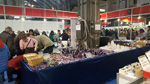 FEM. EXPOMINER BARCELONA MARKET. Salón Internacional de MInerales, Fósiles y Joyerías