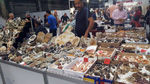 FEM. EXPOMINER BARCELONA MARKET. Salón Internacional de MInerales, Fósiles y Joyerías