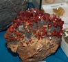 FEM. XXI Feria de Minerales y Fósiles de la Unión