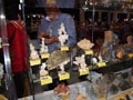 FEM. XXI Feria de Minerales y Fósiles de la Unión