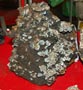 FEM. XXI Feria de Minerales y Fósiles de la Unión