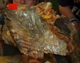 FEM. XXI Feria de Minerales y Fósiles de la Unión