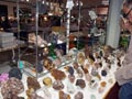 FEM. XXI Feria de Minerales y Fósiles de la Unión