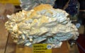 FEM. XXI Feria de Minerales y Fósiles de la Unión