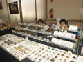 FEM. XXII Feria de Minerales y Fósiles dela Unión