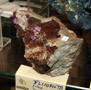 FEM. XXII Feria de Minerales y Fósiles dela Unión