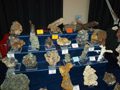 FEM. XXII Feria de Minerales y Fósiles dela Unión