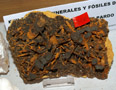 FEM. XXII Feria de Minerales y Fósiles dela Unión