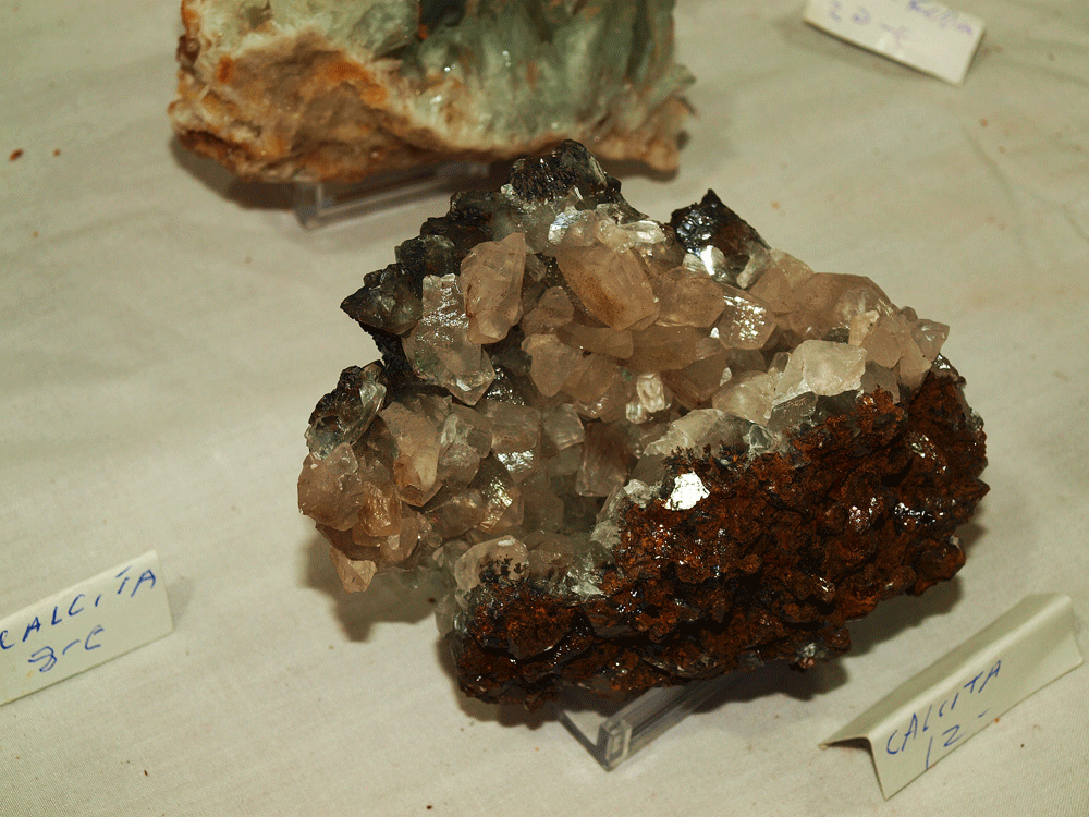 GMA. XXIII Feria de Minerales y Fósiles dela Unión