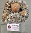  MINERALIA´s Sevilla. XXXIV Exposición Bolsa Internacional de Minerales, Fósiles y Gemas