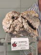  MINERALIA´s Sevilla. XXXIV Exposición Bolsa Internacional de Minerales, Fósiles y Gemas