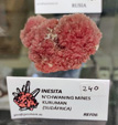  MINERALIA´s Sevilla. XXXIV Exposición Bolsa Internacional de Minerales, Fósiles y Gemas