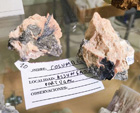  MINERALIA´s Sevilla. XXXIV Exposición Bolsa Internacional de Minerales, Fósiles y Gemas