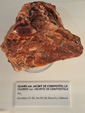 Exposición Tesoros de la Tierra. Minerales de la Comunidad Valenciana. Colección Juan Miguel Casanova Onrubia