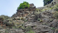 Collado del Alguacil. Guejar. Granada