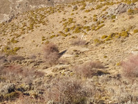 Collado del Alguacil. Guejar. Granada