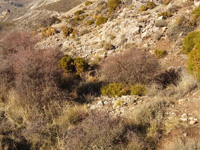 Minas del Cerrajón.  Monachil. Granada