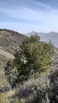 Cortijo-Barranco de Los Lastonares(Mina Laura), Albuñuelas, Granada