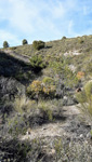 Cortijo-Barranco de Los Lastonares(Mina Laura), Albuñuelas, Granada