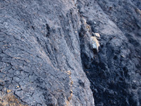 Barranco de la Tejera, Loma de la Cuna, Montalbán, Comarca Cuencas Mineras, Teruel