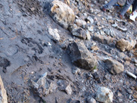 Barranco de la Tejera, Loma de la Cuna, Montalbán, Comarca Cuencas Mineras, Teruel