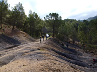 Barranco de la Tejera, Loma de la Cuna, Montalbán, Comarca Cuencas Mineras, Teruel