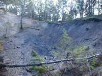 Barranco de la Tejera, Loma de la Cuna, Montalbán, Comarca Cuencas Mineras, Teruel