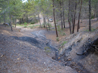 Barranco de la Tejera, Loma de la Cuna, Montalbán, Comarca Cuencas Mineras, Teruel