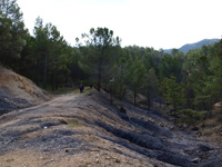 Barranco de la Tejera, Loma de la Cuna, Montalbán, Comarca Cuencas Mineras, Teruel