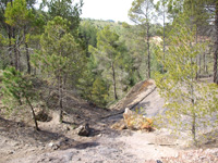 Barranco de la Tejera, Loma de la Cuna, Montalbán, Comarca Cuencas Mineras, Teruel