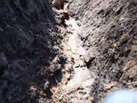 Barranco de la Tejera, Loma de la Cuna, Montalbán, Comarca Cuencas Mineras, Teruel