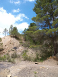 Barranco de la Tejera, Loma de la Cuna, Montalbán, Comarca Cuencas Mineras, Teruel 