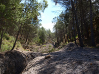 Barranco de la Tejera, Loma de la Cuna, Montalbán, Comarca Cuencas Mineras, Teruel 