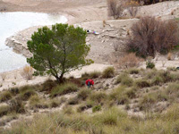 Embalse de Camarillas. Agramón. Albacete