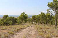 Volcán de Cancarix, Sierra de las Cabras, Cancarix, Hellín, Comarca Campos de Hellín, Albacete