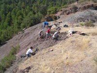 Barranco de el Retamal. Enguidanos. Cuenca