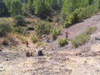 Barranco de el Retamal. Enguidanos. Cuenca