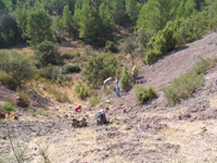 Barranco de el Retamal. Enguidanos. Cuenca