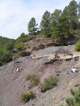 Barranco de el Retamal. Enguidanos. Cuenca