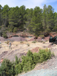 Barranco de el Retamal. Enguidanos. Cuenca