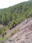 Barranco de el Retamal. Enguidanos. Cuenca