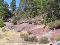 Barranco de el Retamal. Enguidanos. Cuenca