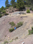 Barranco de el Retamal. Enguidanos. Cuenca