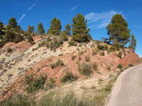 Rambla de la Escarabehuela, Enguídanos, Cuenca   