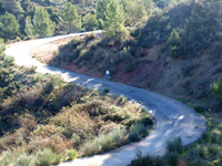 Rambla de la Escarabehuela, Enguídanos, Cuenca   